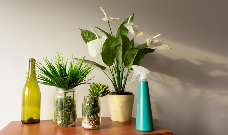 Simple Tips for Creating an Eco-Friendly Home on a Budget